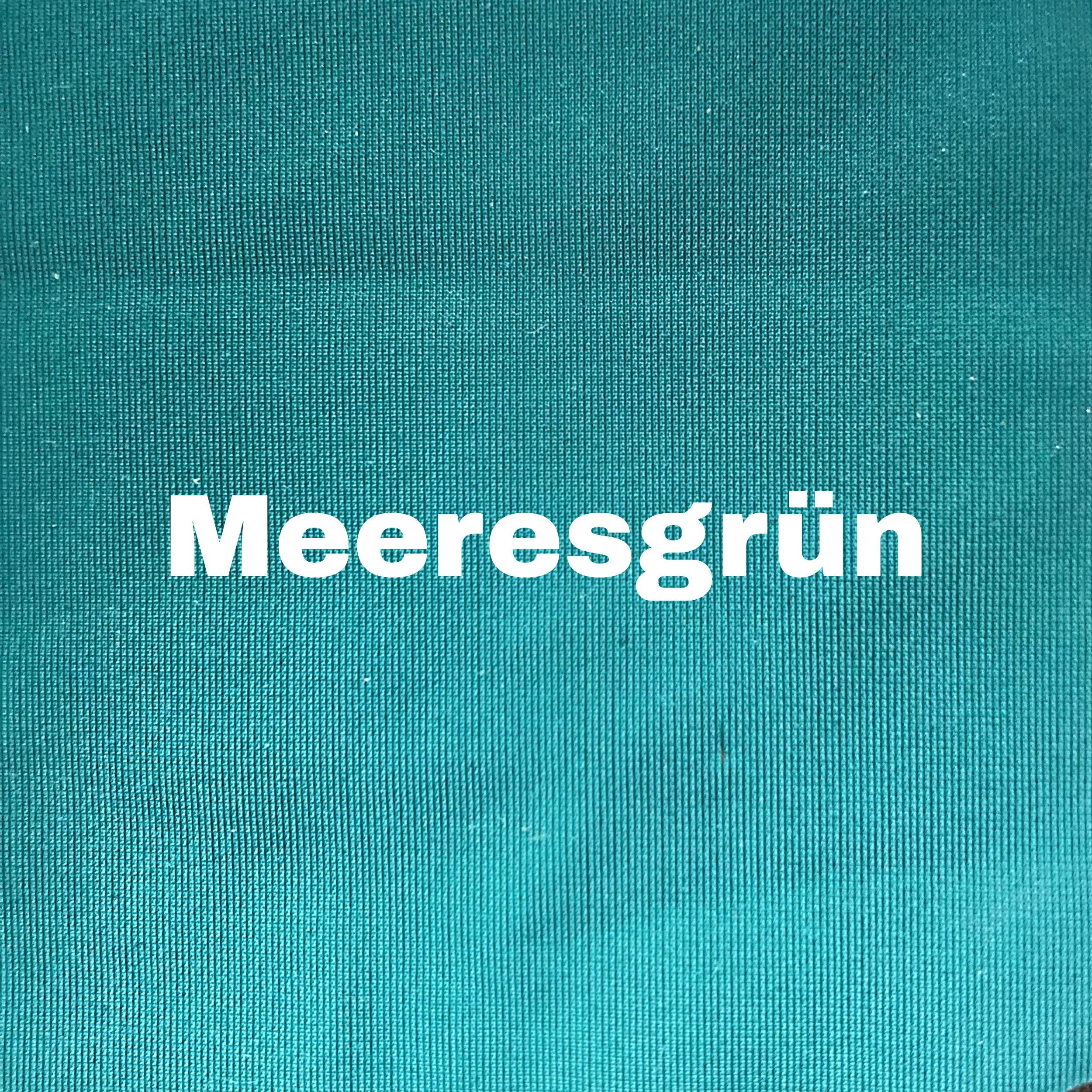 BIKINI BOTTOM LA GUERRERA